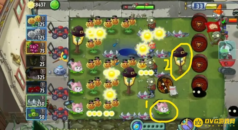 《植物大战僵尸》滚筒危机通关攻略