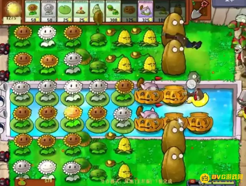 《植物大战僵尸》泳池无限关卡攻略