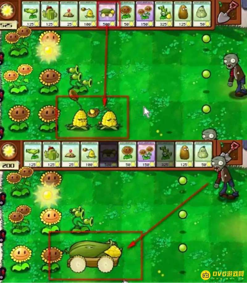 《植物大战僵尸》玉米加农炮射手介绍