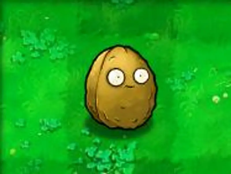 《植物大战僵尸》所有植物名称一览