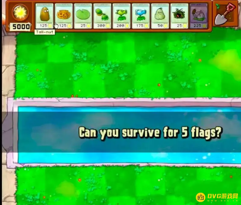 《植物大战僵尸》5000阳光布局攻略-详细步骤解析