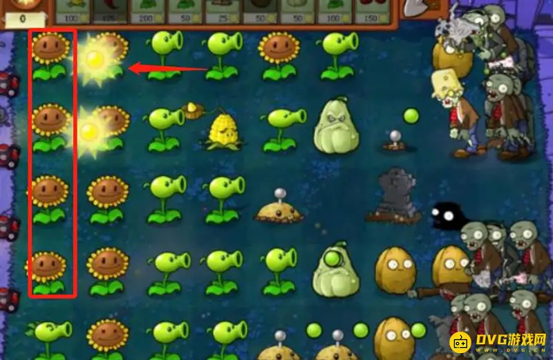 《植物大战僵尸》向日葵夜间产阳光吗