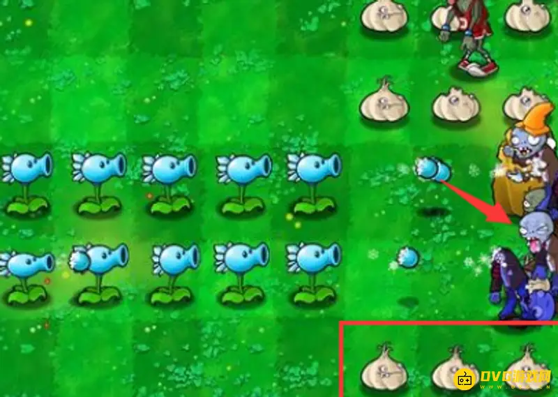 《植物大战僵尸》大蒜作用解析