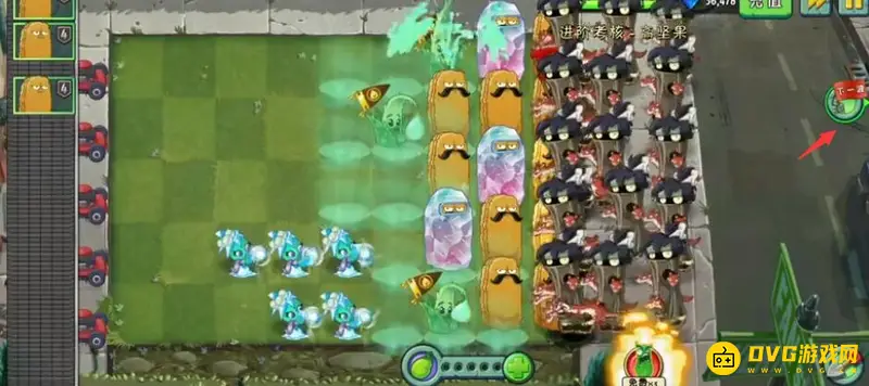《植物大战僵尸》高坚果进阶考核攻略