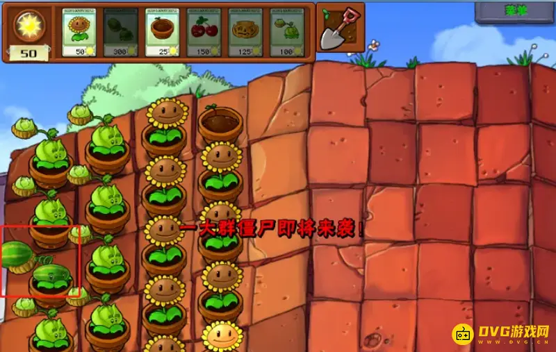 《植物大战僵尸》5