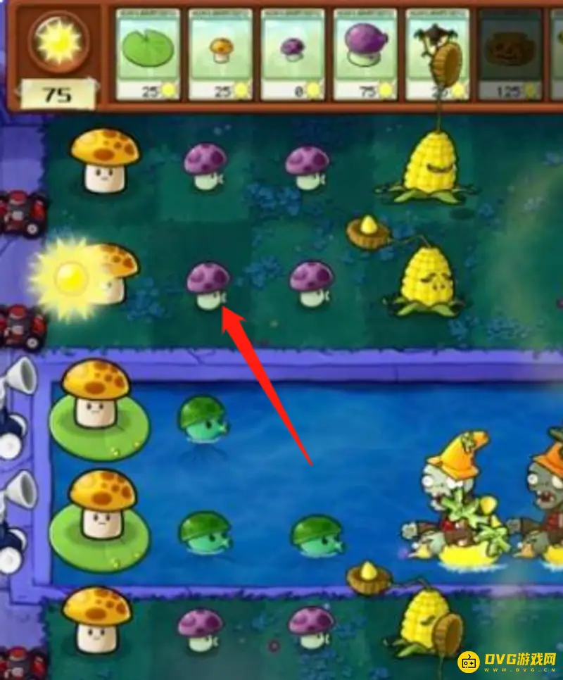 《植物大战僵尸》雾天植物选择攻略