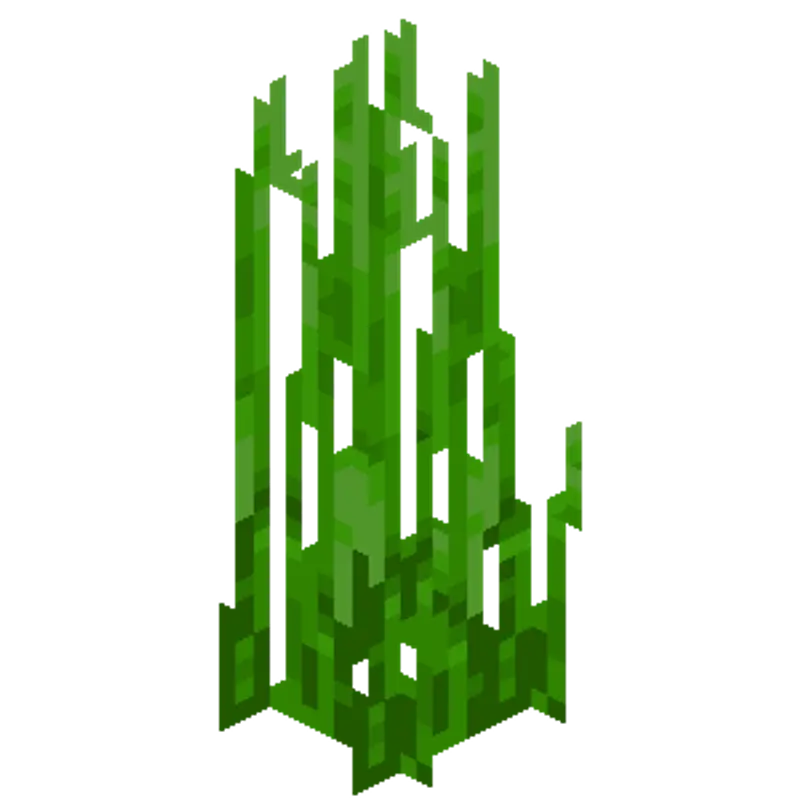 我的世界海草获取方法详解-剪刀与海龟掉落途径