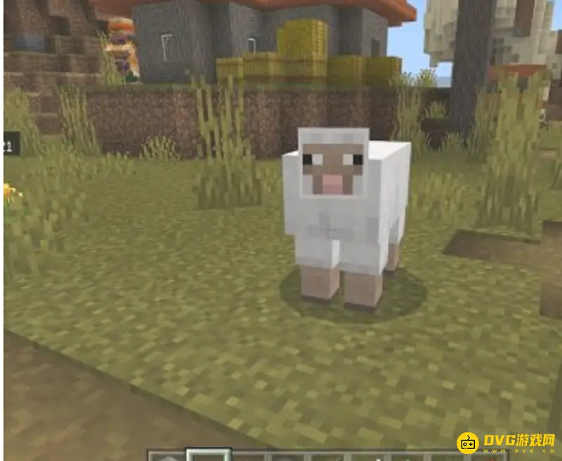 《我的世界》羊吃什么？