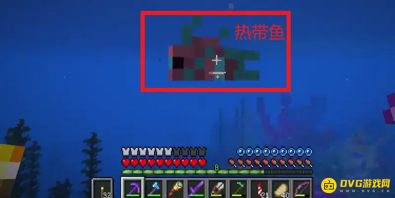 《我的世界》怎么养美西螈？