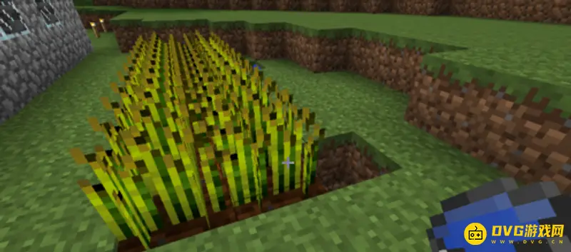 我的世界牛吃什么-牛的喂养与利用全解析