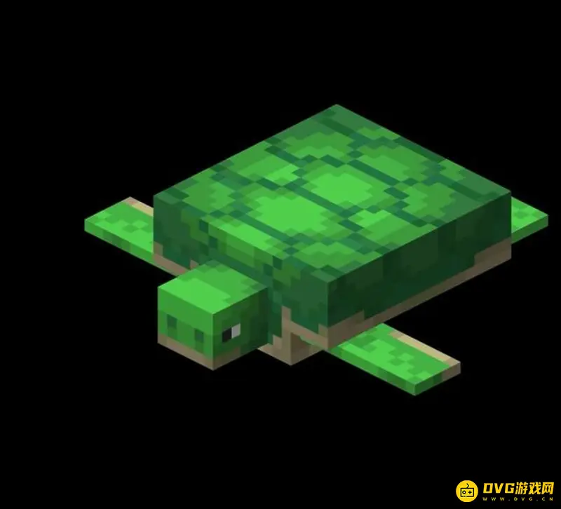 《我的世界》海龟怎么繁殖？