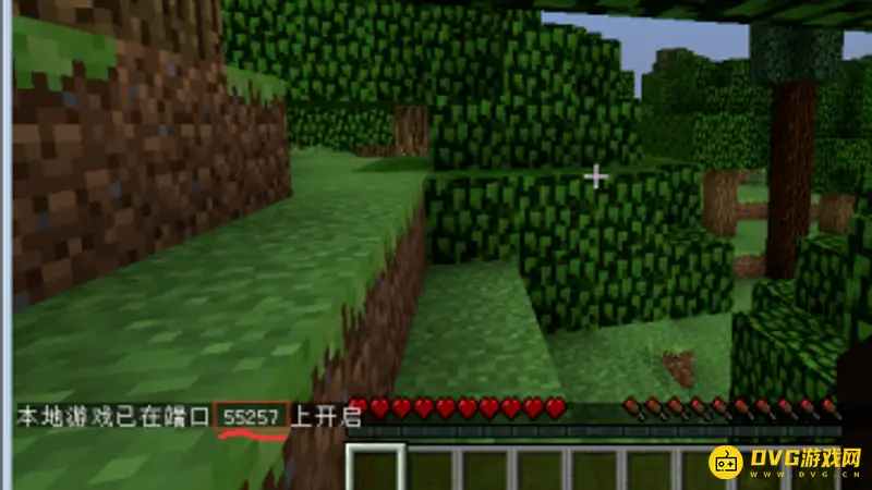 我的世界端口号用法详解-多人联机设置方法