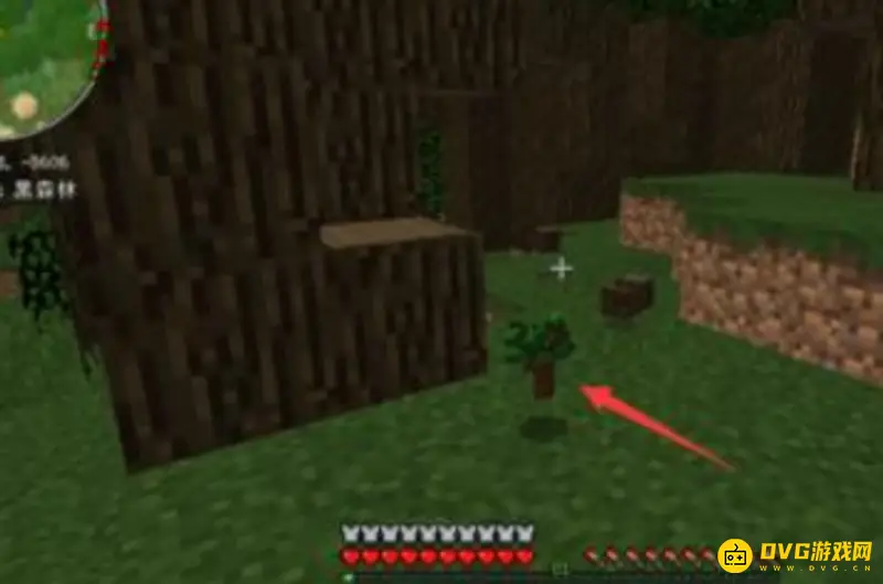 我的世界深色橡木怎么长不大-树苗种植与成长条件解析