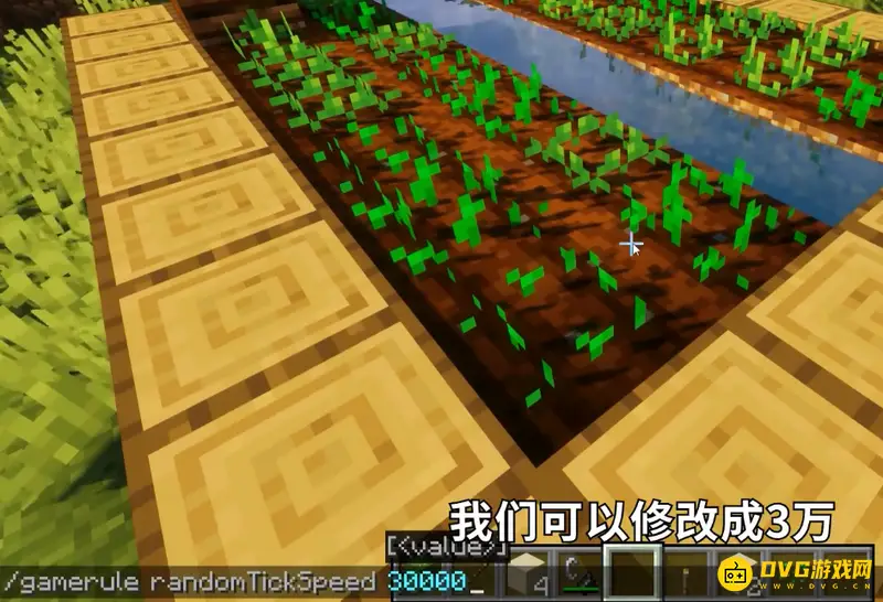 我的世界农作物生长速度指令详解-调节生长速度的实用方法