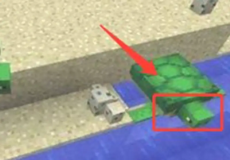 《我的世界》海龟怎么驯服？