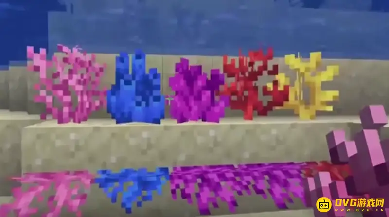 我的世界珊瑚怎么挖-正确采集与保存珊瑚方法详解