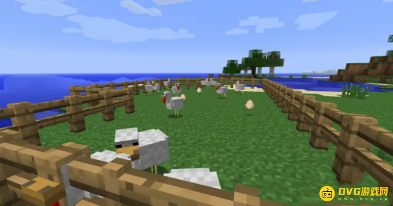 《我的世界》鸡蛋怎么获得？