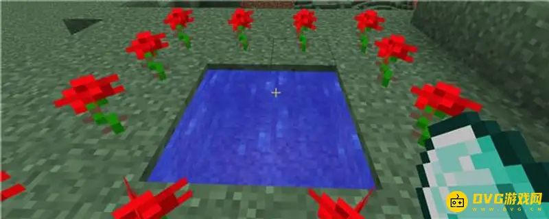 《我的世界》怎么去暮色森林？