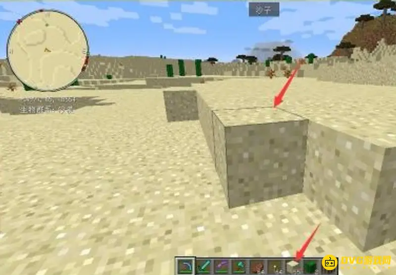 《我的世界》仙人掌怎么种？