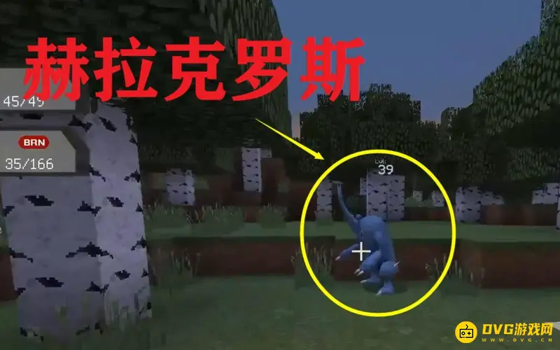 我的世界赫拉克罗斯在哪抓-宝可梦赫拉克罗斯的捕捉方法