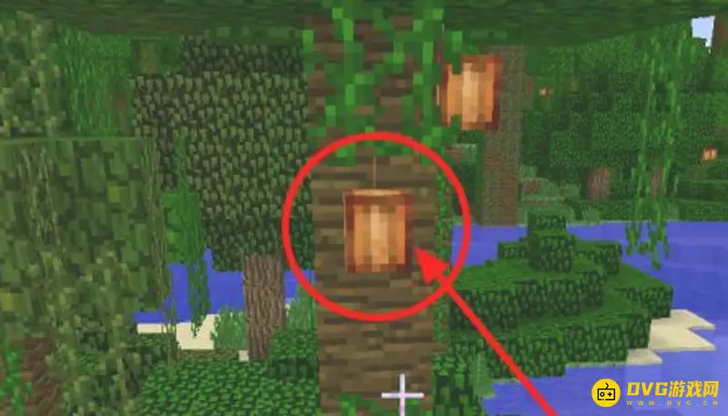 我的世界可可豆有什么用-可可豆的主要用途