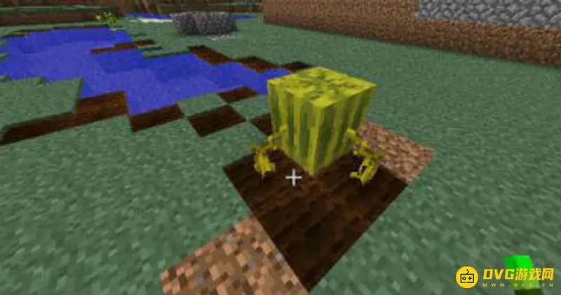 《我的世界》西瓜种子怎么获得？