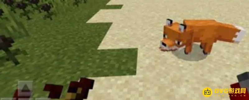 我的世界狐狸驯服后有什么用-狐狸驯服后的具体用途