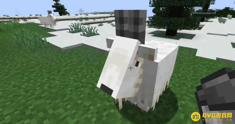 《我的世界》山羊有什么用？