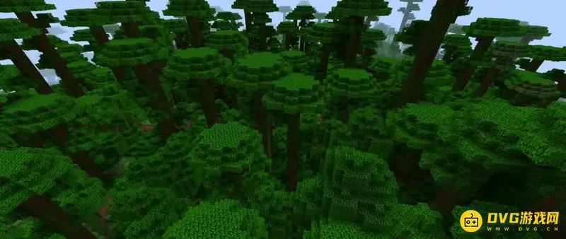《我的世界》丛林一般在什么坐标?