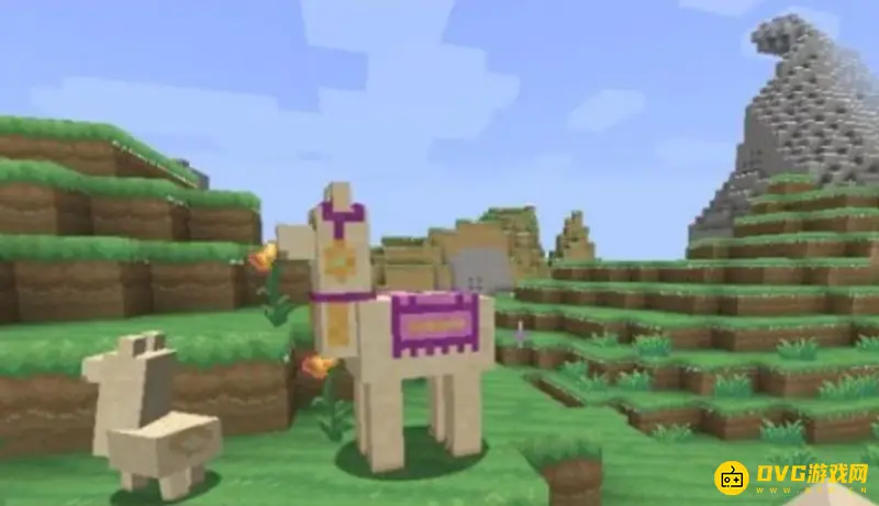 我的世界羊驼怎么骑-如何正确骑乘羊驼