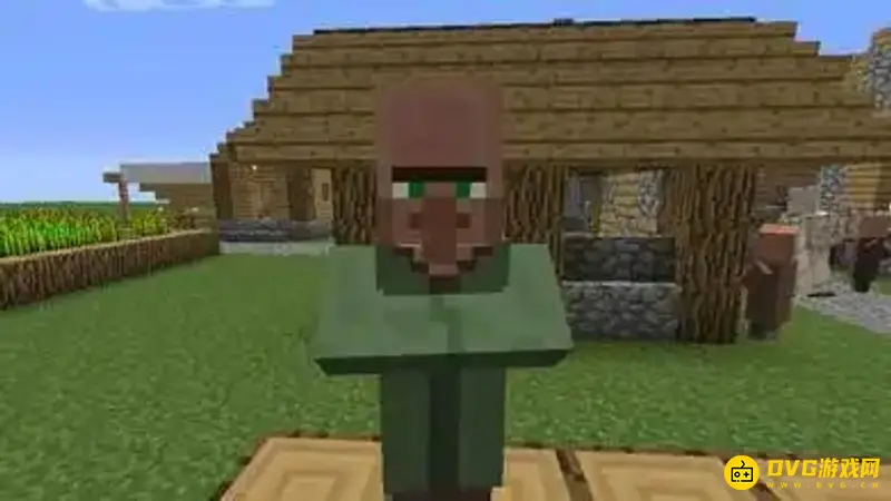 《我的世界》村民吃什么食物?