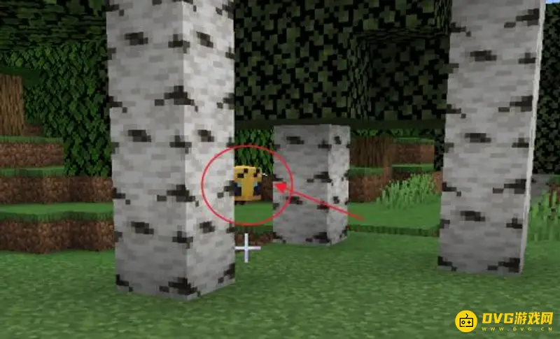 我的世界蜜蜂怎么驯服-蜜蜂驯服与分布全解析