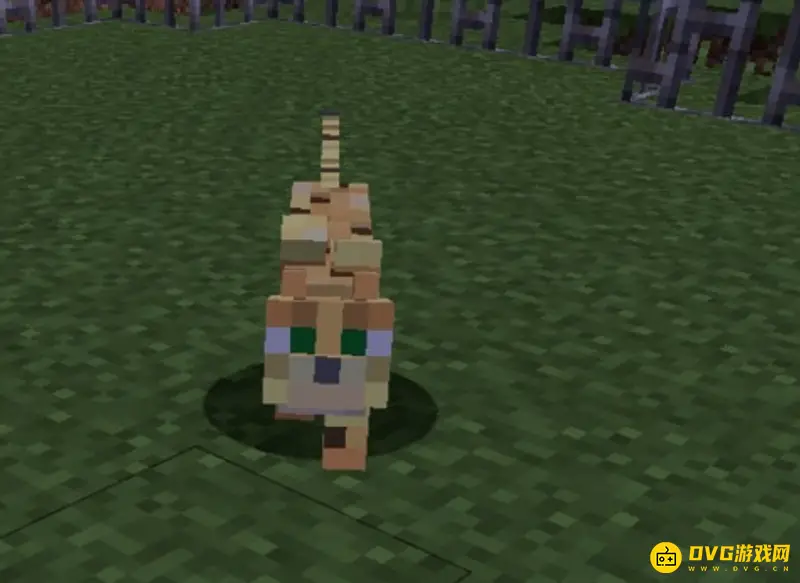 我的世界猫怎么驯服-详细驯服猫咪操作指南