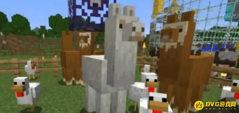 《我的世界》羊驼怎么繁殖？