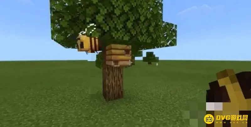 我的世界蜜蜂取蜜方法-蜂箱与采蜜技巧解析