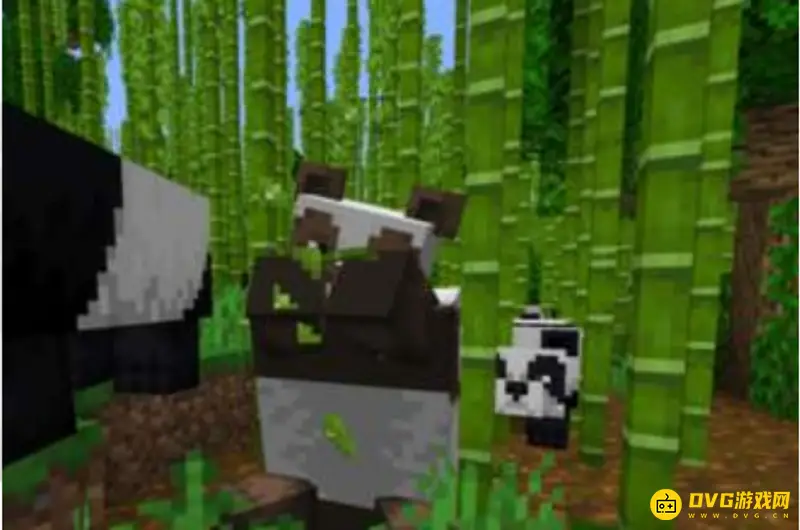 《我的世界》竹子在哪找？