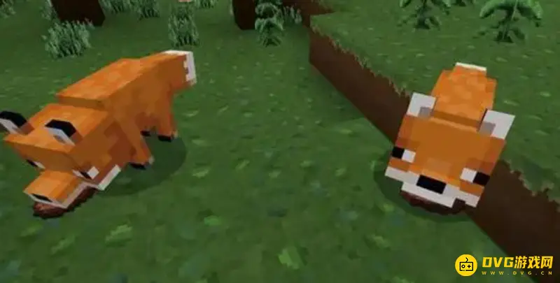 我的世界狐狸有什么用-狐狸作用与特点详解