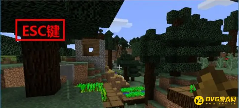 《我的世界》电脑版怎么全屏？