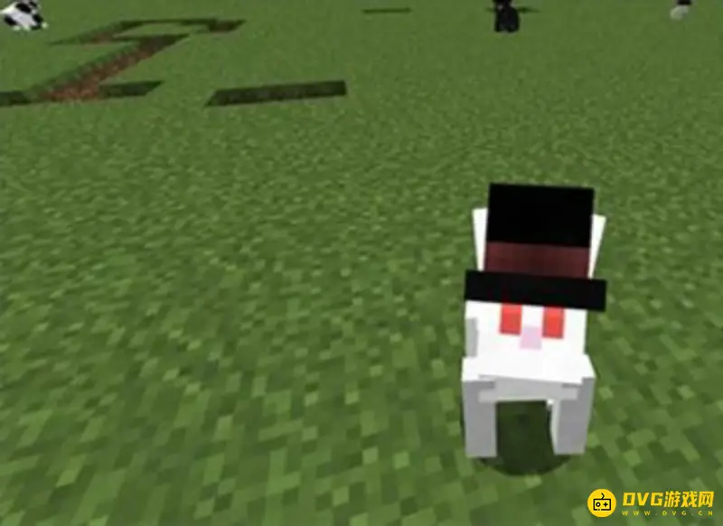 我的世界兔子分布详解-兔子在哪些地点生成