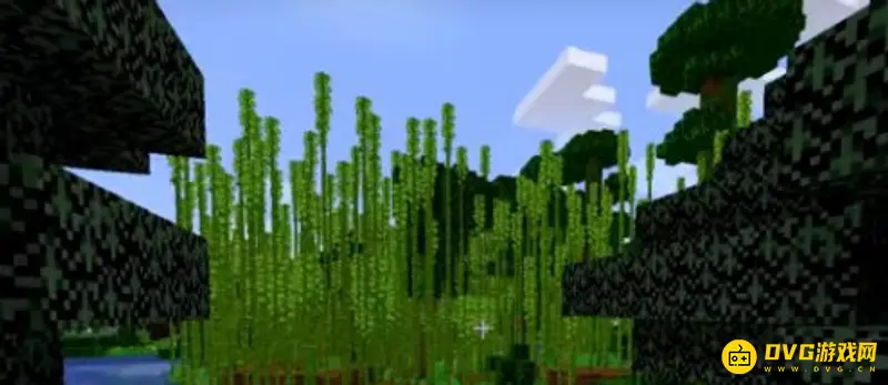 《我的世界》竹子有什么用？