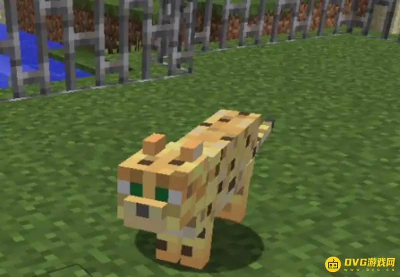 《我的世界》猫需要什么才能驯服？