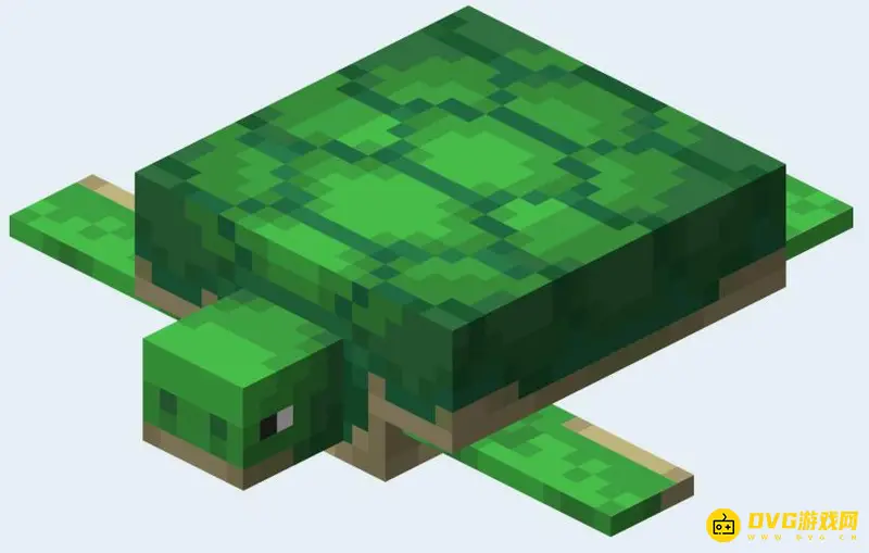 《我的世界》海龟吃什么？