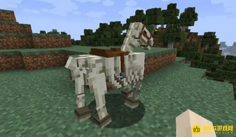 我的世界马的品质详解-不同类型马匹特点一览