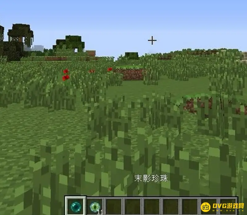 我的世界末地传送门如何寻找-寻找末地传送门的方法