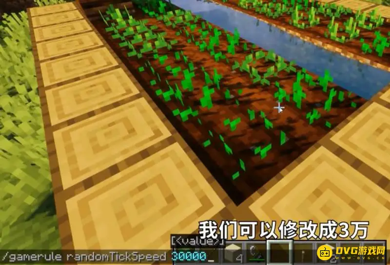 我的世界小麦生长需要多少tick-生长速度与指令详解