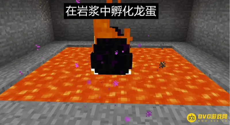 《我的世界手游》龙蛋孵化全攻略