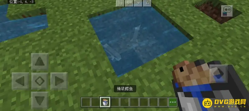 《我的世界手游》活鱼捕捉方法详解