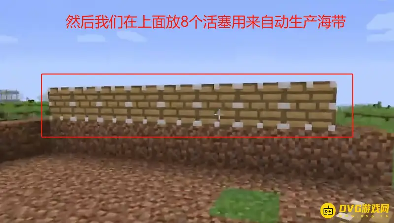 《我的世界手游》海带种植攻略