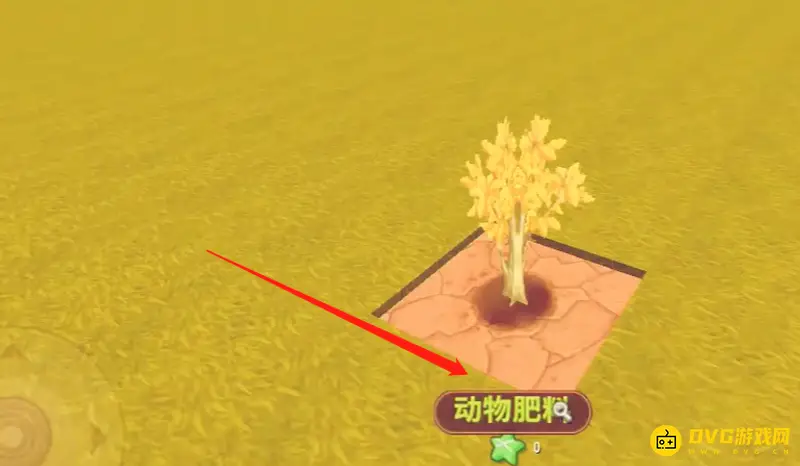 《迷你世界》金树种植方法详解