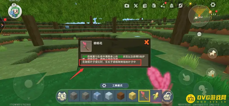 《迷你世界》胡杨花寻找攻略